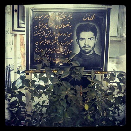 شهید مجتبی محمدی دارانی