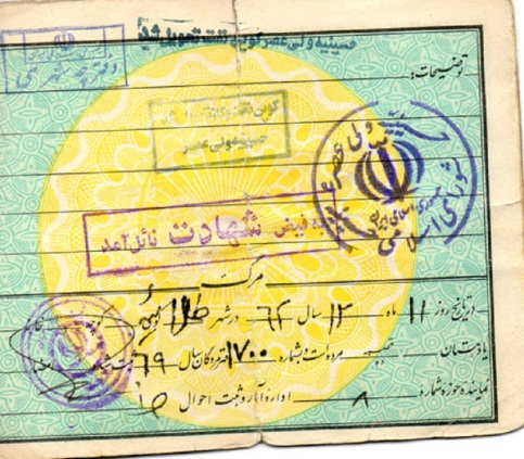 شهید مجتبی محمدی دارانی